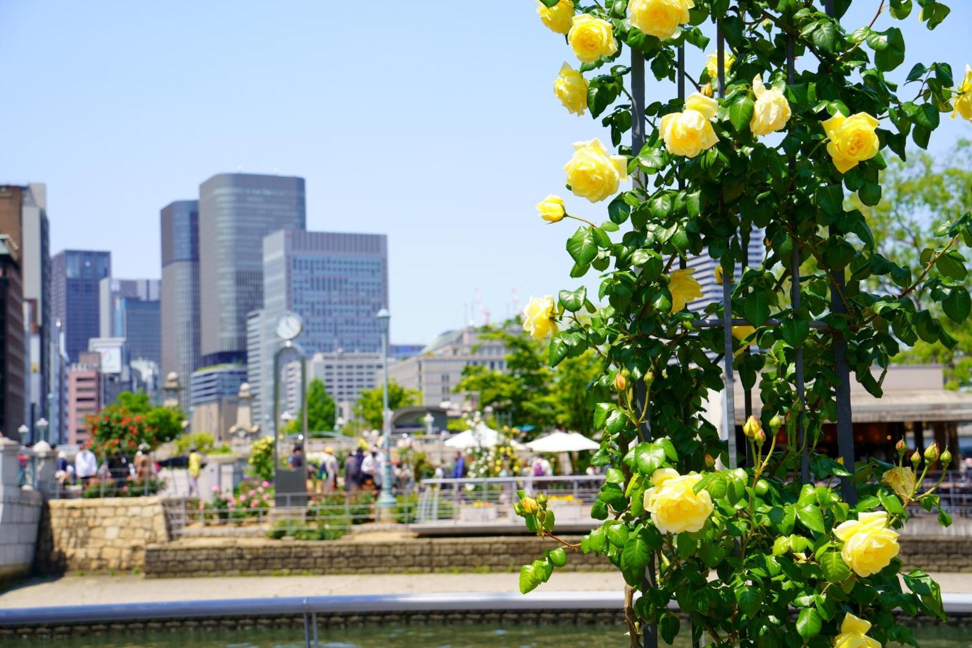 Super Hotel Osaka Natural Hot Springs Exterior photo